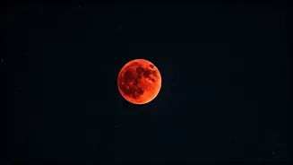 Related Stories banner