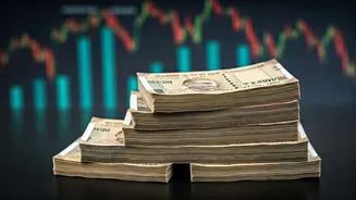 Indian Startups See Funding and Growth