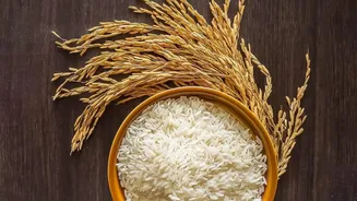 Understanding Rice Prices And Conflict Without Turning It Into An Investment Call