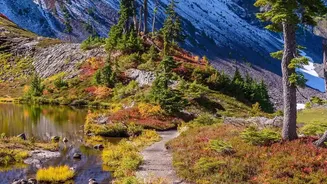 Canadian Rockies Hiking Trails: The Appeal of Clear Lakes and Dramatic Peaks