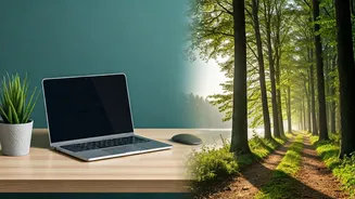 Work-Life Balance Shapes Job Markets