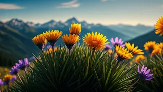 Breckenridge Blooms: First Annual Wildflower Week Celebrates Mountain Majesty