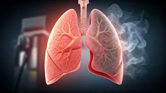 Beyond the Pump: Understanding the Health & Fitness Impact of Gas Station Vapors