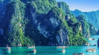 Phu Quoc's Tourism Earnings Jump 46% in Early 2026