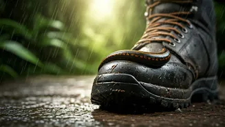 Forest Getaways Need Leeches, Roads And Rain Prep