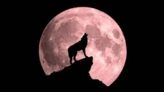 First Full Moon Of 2026: What Is The Wolf Supermoon And Best Time To See It