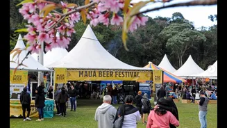 Festival de cerveja em Visconde de Mauá terá chope de pinhão