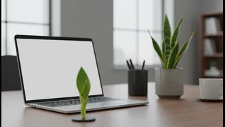 Thirty-Minute Sitting Breaks Are The Practical Wellness Hack Offices Need