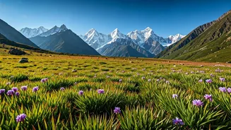 Eco Trekkers Head To Beautiful Uttarakhand High Meadow Paths