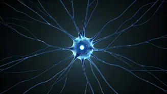 Unveiling Daily Wonders: Science, Mysteries & Intrigue!