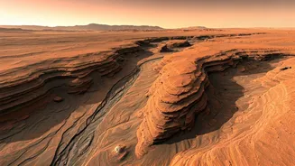 Why Does Mars Captivate Our Imagination?