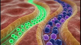 Glucose And Fructose Gut-Brain Research Shows How Nutrition Research And Dietary Advice Is Being Rewritten