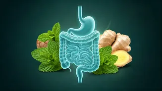 Beat the Summer Bloat: Expert Gastroenterologist's Guide to a Happy Tummy