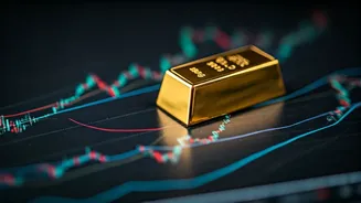 Investment Insights and Market Trends Decoded