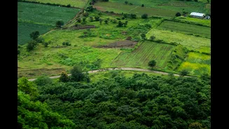 Satellites Revolutionise Crop Insurance in India