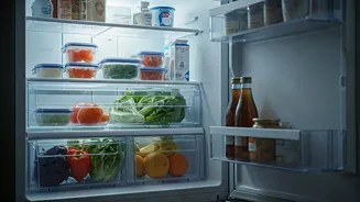 Mastering Refrigerator Storage: Expert Tips for Fresher Food & Less Waste