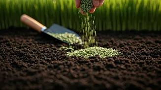 Transform Your Lawn: A Step-by-Step Guide to Planting Grass Seed for Lush Results