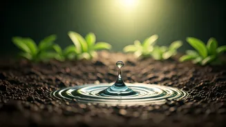 Make Every Water Drop Count