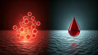 HbA1c vs. FBS: Decoding Conflicting Blood Sugar Readings