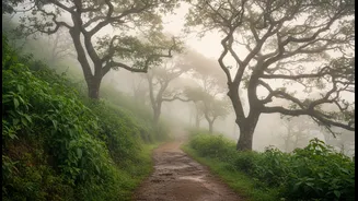 Nature, Mist And Local Culture Define India's Slow Travel Boom