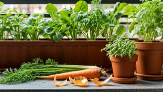Vegetable Scraps Can Feed Your Balcony Garden