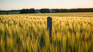 Budget 2026: Capital Gains Relief for Land Transactions?