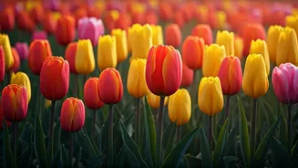 Related Stories banner