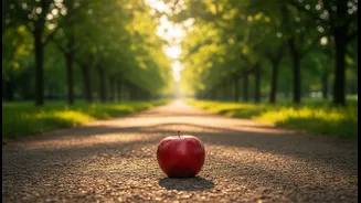 You Do Not Need Gym Pace To Benefit From A Walk After Eating