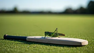 Cultivating Resilience: Mastering Adaptability for Children, Inspired by David Hume