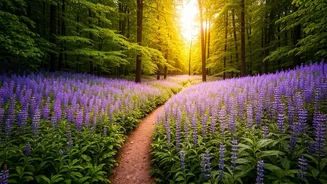Flower Trails Are The Softer Adventure Plan