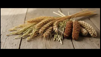 Rotating Between Rice, Wheat And Millets Can Broaden Everyday Eating