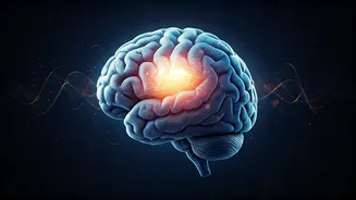 Decode Your Nightly Replay: Why Your Brain Rehashes Conversations & How to Stop