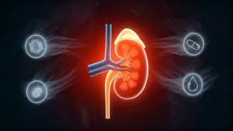 5 Silent Killers: Daily Habits Damaging Your Kidneys - Expert Advice