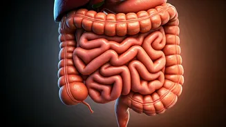Why Fibermaxxing Is Formally Trending Higher Than Keto Diets