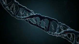 Unlocking the Secrets: Genes & Mental Health