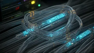 India's Digital Sovereignty: Experts Warn Against Foreign Cloud & AI 'Kill Switches'