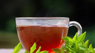 Peppermint Tea Compresses For Tension Headaches: A Home Comfort Measure Is Not a Proven Headache Cure