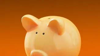 Freelancer Financial Safety: How Flexi-FDs Beat Traditional Bank Savings Accounts Daily