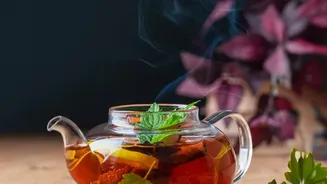 Monsoon Café Hopping In Hyderabad Now Comes With Unique Tea Discoveries
