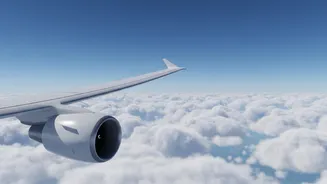 A Sudden Altitude Loss Does Not Mean an Aircraft Is Falling Freely