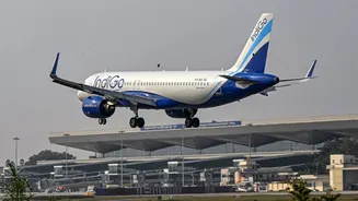 IndiGo booking system faces outage, users report ‘no data available’ error