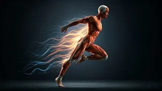 Strong Bodies Need Smarter Recovery Too