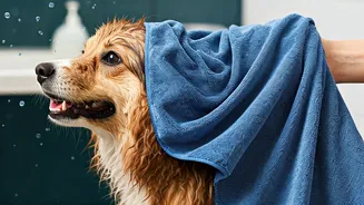 Dog Parents Stock Up On Microfiber Pet Towels Now