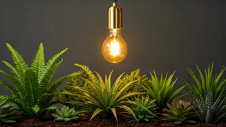 Navigating Workplace Culture: The Value of Well-being