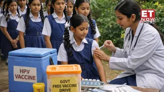 Related Stories banner