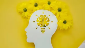 New Memory Research Raises Questions About Brain Representations