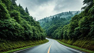 Ride Through Nature's Greenest Monsoon Views