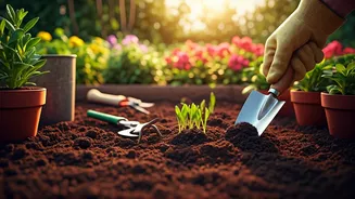 Dig In to Fitness: How Gardening Offers a Full-Body Workout