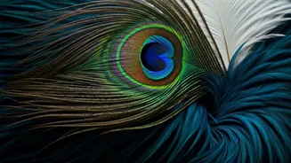 Feathered Fashion Reigns: The Chic Return of Plumes in Couture and Indian Wear