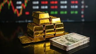 Indian Market Watch: Economic Trends & Sector Insights